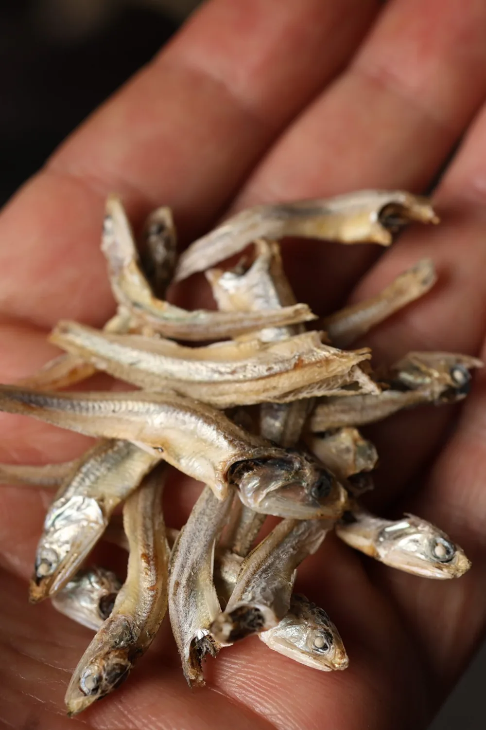 Dried anchovies in the palm of a hand